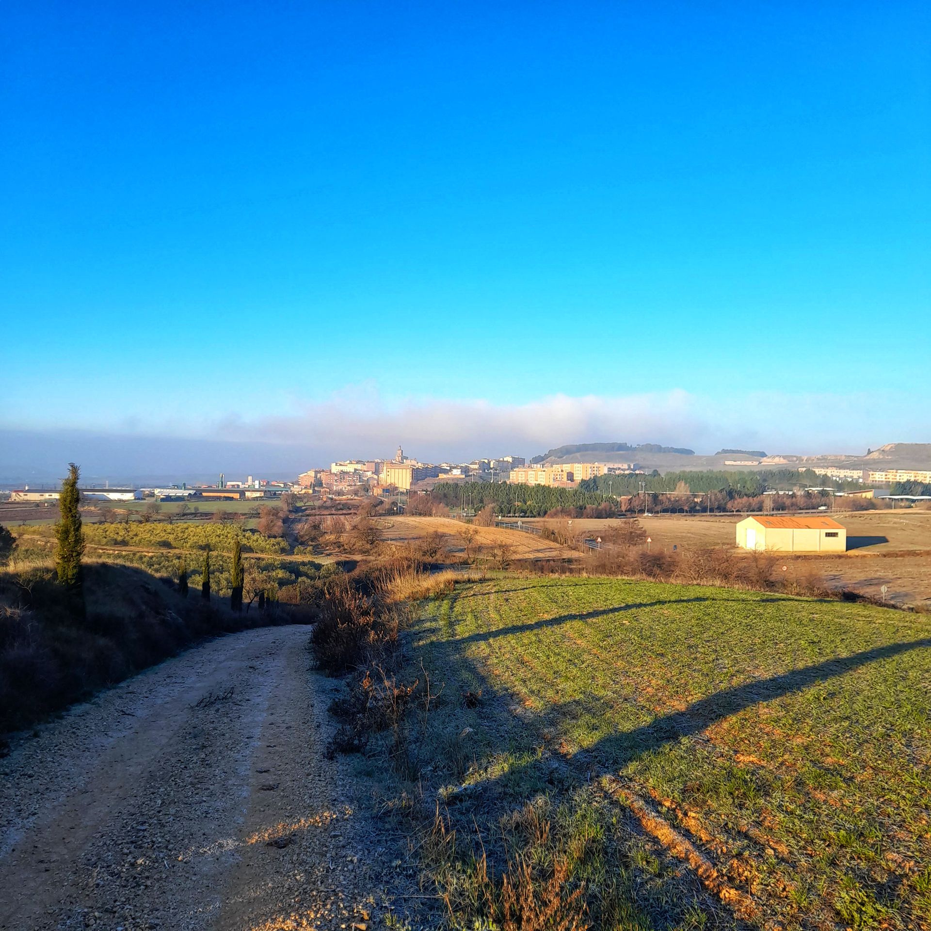 Viana, Navarra